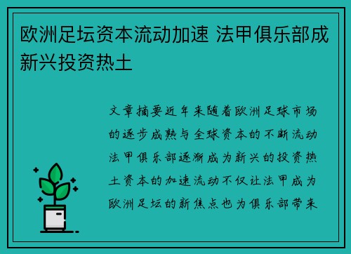欧洲足坛资本流动加速 法甲俱乐部成新兴投资热土