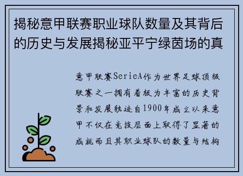 揭秘意甲联赛职业球队数量及其背后的历史与发展揭秘亚平宁绿茵场的真实面貌