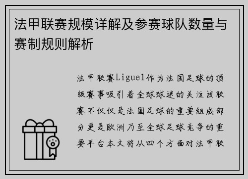 法甲联赛规模详解及参赛球队数量与赛制规则解析