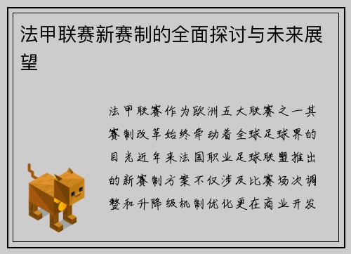 法甲联赛新赛制的全面探讨与未来展望